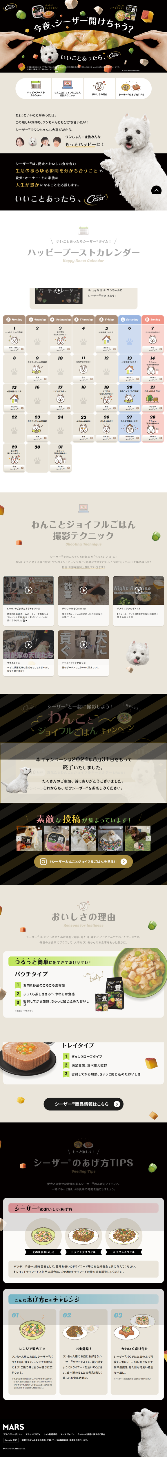 LP画像　Cesar® Japan