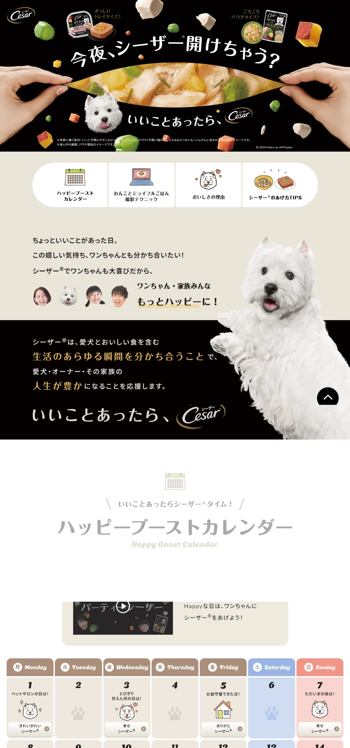 LPサムネイル　Cesar® Japan