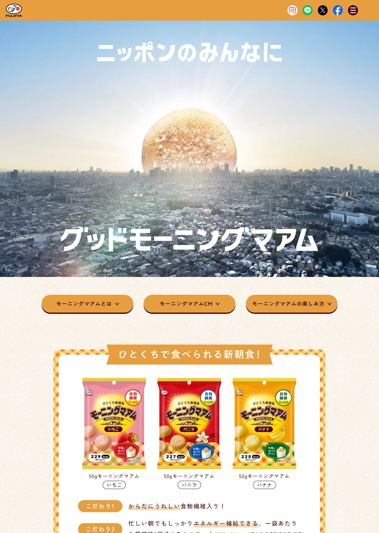 ランディングページサムネイル　モーニングマアム｜株式会社不二家