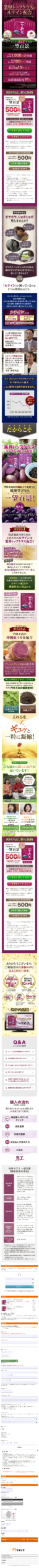 LP画像　マイケア