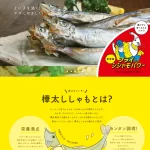 ランディングページサムネイル　山田のシシャモ｜山田水産株式会社