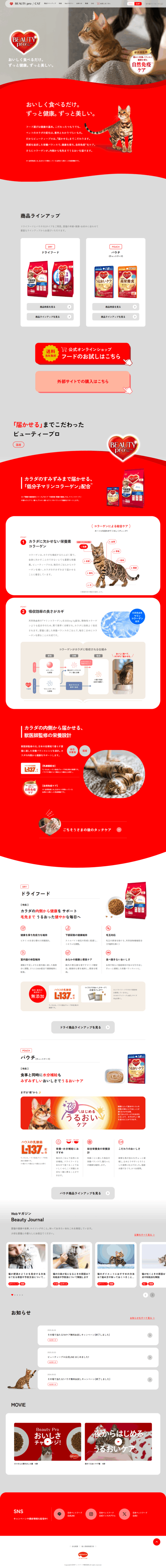 ランディングページ画像　キャットフード【ビューティープロ】 - 獣医師監修
